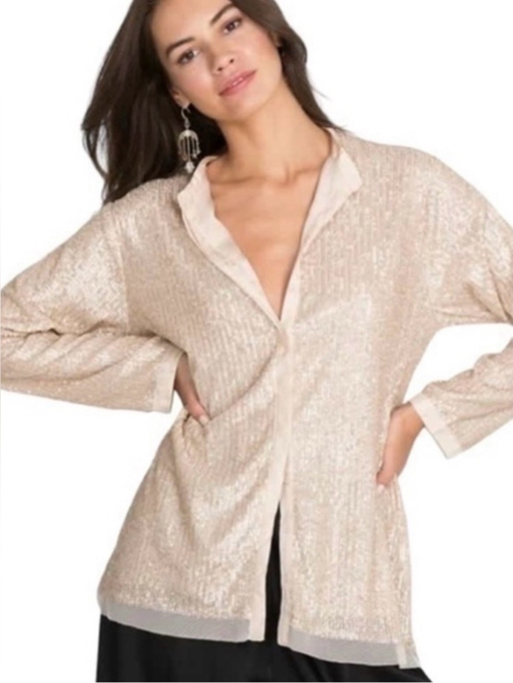 NWT Johnny Was Grace Sequin Top